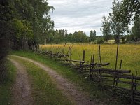 S, Uppsala lan,Tierp, Angskar 1, Saxifraga-Hans Dekker