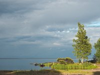 S, Uppsala lan,Tierp, Angskar 7, Saxifraga-Hans Dekker