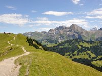 CH, Bern, Adelboden, Sillerenbuhl-Hahnenmoospass 1, Saxifraga-Tom Heijnen