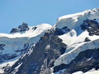 CH, Bern, Lauterbrunnen, Jungfraujoch Sphinx-Observatorium 2, Saxifraga-Tom Heijnen