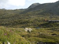 CH, Graubuenden, Davos, Fluela Pass 2, Saxifraga-Jan van der Straaten