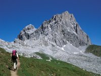 CH, Graubuenden, Luzein, Drusenfluh 1, Saxifraga-Jan van der Straaten