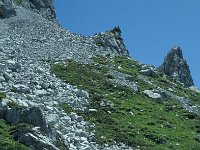 CH, Graubuenden, Schiers, Schweizer Tor 2, Saxifraga-Jan van der Straaten