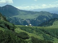 CH, Graubuenden, Seewis, Schesaplana Huette 1, Saxifraga-Jan van der Straaten