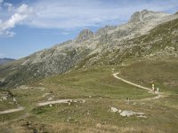 CH, Graubuenden, Spluegen, Spluegenpass 4, Saxifraga-Willem van Kruijsbergen