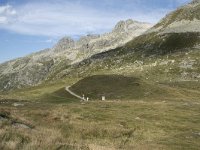 CH, Graubuenden, Spluegen, Spluegenpass 8, Saxifraga-Willem van Kruijsbergen