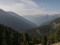 CH, Graubuenden, Val Muestair, Stilfserjoch 14, Saxifraga-Luuk Vermeer