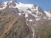 CH, Graubuenden, Val Muestair, Stilfserjoch 17, Saxifraga-Luuk Vermeer