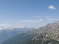 CH, Graubuenden, Val Muestair, Stilfserjoch 19, Saxifraga-Luuk Vermeer