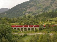 CH, Graubuenden, Zernez, Lavin 1, Saxifraga-Foto Fitis-Sytske Dijksen