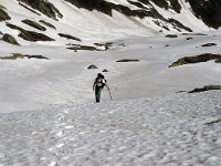 CH, Ticino, Airolo, Alpe di Lucendro 3, Saxifraga-Jan van der Straaten