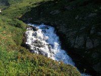 CH, Ticino, Airolo, Capanna Bovarina 4, Saxifraga-Jan van der Straaten