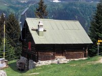 CH, Ticino, Airolo, Ce di Fiori 2, Saxifraga-Jan van der Straaten