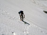 CH, Ticino, Airolo, Passe di Lucendro 11, Saxifraga-Jan van der Straaten