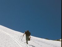 CH, Ticino, Airolo, Passe di Lucendro 5, Saxifraga-Jan van der Straaten