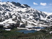 CH, Ticino, Airolo, Passo del San Gottardo 11, Saxifraga-Jan van der Straaten