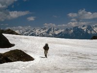 CH, Ticino, Airolo, Passo di Gana Negra 9, Saxifraga-Jan van der Straaten