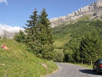 CH, Vaud, Ormont-Dessus, near Col du Pillon 1, Saxifraga-Tom Heijnen