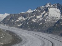 CH, Wallis, Bettmeralp, Aletschgletscher 2, Saxifraga-Luuk Vermeer