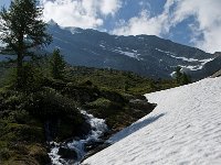 CH, Wallis, Brig-Gils, Simplonpas 3, Saxifraga-Luuk Vermeer