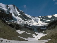 CH, Wallis, Hérémence, Glacier de Cheillon 4, Saxifraga-Jan van der Straaten