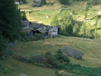 CH, Wallis, Saas-Almagell, Alpjenbruecke 2, Saxifraga-Jan van der Straaten