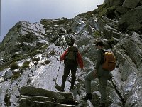 CH, Wallis, Saas-Almagell, Monte Moro Pass 1, Saxifraga-Jan van der Straaten