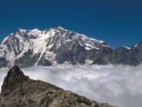 CH, Wallis, Saas-Almagell, Monte Rosa 3, Saxifraga-Jan van der Straaten