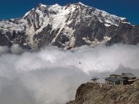 CH, Wallis, Saas-Almagell, Rifugio Monte Moro 2, Saxifraga-Jan van der Straaten