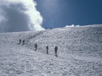 CH, Wallis, Saas-Almagell, Strahlhorn 17, Saxifraga-Jan van der Straaten