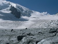 CH, Wallis, Saas-Almagell, Strahlhorn 22, Saxifraga-Jan van der Straaten