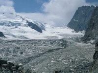 CH, Wallis, Saas-Almagell, Strahlhorn 24, Saxifraga-Jan van der Straaten