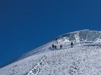 CH, Wallis, Saas-Almagell, Weissmies 21, Saxifraga-Jan van der Straaten