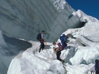 CH, Wallis, Saas-Almagell, Weissmies 22, Saxifraga-Jan van der Straaten