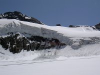 CH, Wallis, Saas-Fee, Allalinhorn 1, Saxifraga-Luuk Vermeer