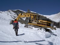 CH, Wallis, Saas-Fee, Mittelallalin 4, Saxifraga-Luuk Vermeer