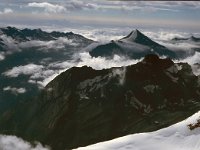 CH, Wallis, Saas-Fee, Nadelhorn 6, Saxifraga-Jan van der Straaten