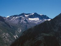 CH, Wallis, Saas-Grund, Portjengrat 1, Saxifraga-Jan van der Straaten