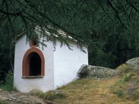 CH, Wallis, Saas-Grund, Saas-Grund 11, Saxifraga-Jan van der Straaten