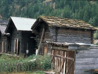 CH, Wallis, Saas-Grund, Saas-Grund 12, Saxifraga-Jan van der Straaten