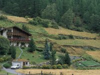 CH, Wallis, Saas-Grund, Saas-Grund 5, Saxifraga-Jan van der Straaten