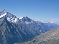 CH, Wallis, Taesch, Weisshorn 1, Saxifraga-Jan van der Straaten