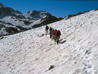 CH, Wallis, Val de Bagnes, Col de Louvie 3, Saxifraga-Jan van der Straaten