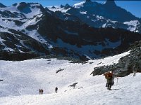 CH, Wallis, Val de Bagnes, Col de Louvie 4, Saxifraga-Jan van der Straaten