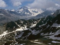 CH, Wallis, Val de Bagnes, Col de Prafleuri 2, Saxifraga-Jan van der Straaten