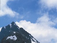 CH, Wallis, Val de Bagnes, Col de Prafleuri 3, Saxifraga-Jan van der Straaten