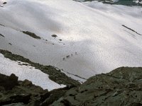 CH, Wallis, Val de Bagnes, Grand Désert 2, Saxifraga-Jan van der Straaten