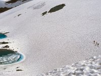 CH, Wallis, Val de Bagnes, Grand Désert 3, Saxifraga-Jan van der Straaten