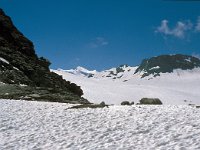 CH, Wallis, Val de Bagnes, Grand Désert 5, Saxifraga-Jan van der Straaten