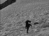 CH, Wallis, Val de Bagnes, Val de Bagnes 1, Saxifraga-Jan van der Straaten